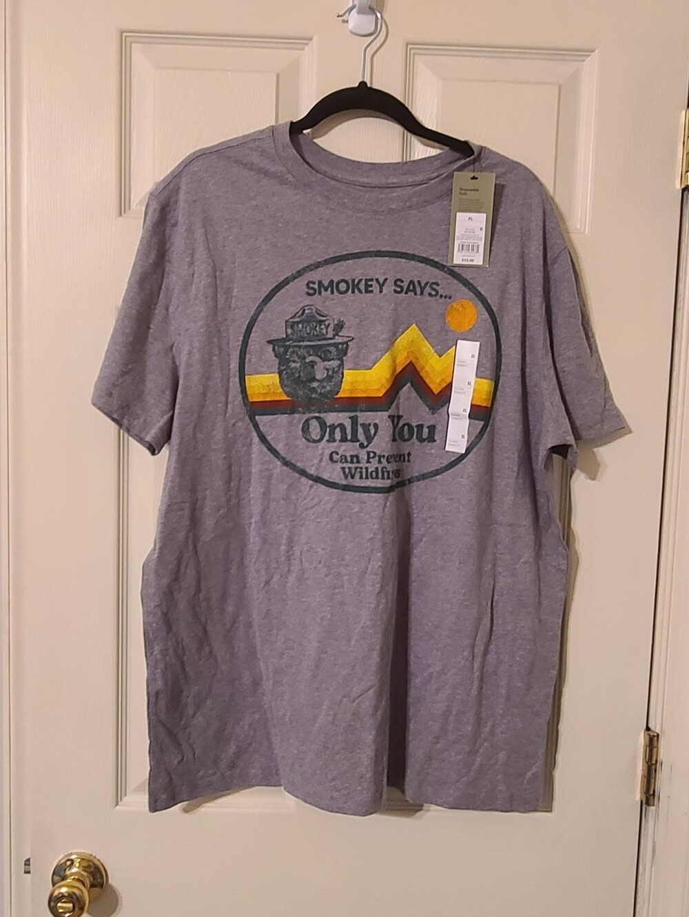 Smokey Says Men's Grey Graphic Tee - Only You Can Prevent Wildfires